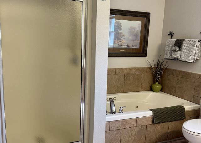 Walk-in shower and jetted tub in Condo A-1