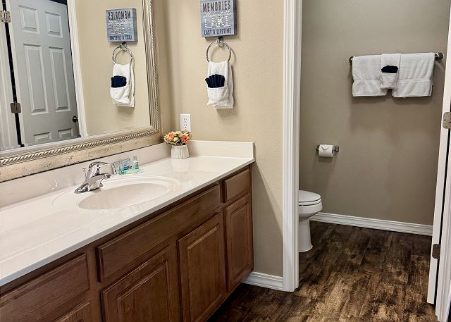 Guest bathroom vanity