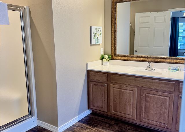 Primary bathroom vanity