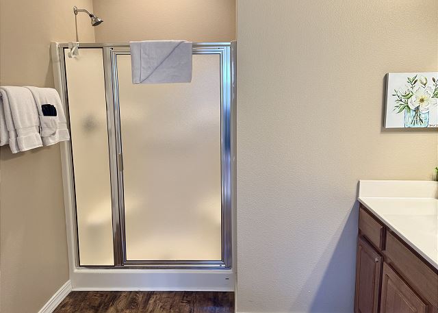 Primary bathroom walk-in shower