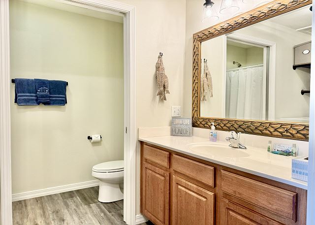 Guest bathroom vanity