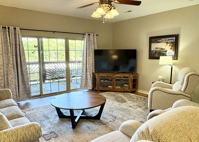 Living room with television